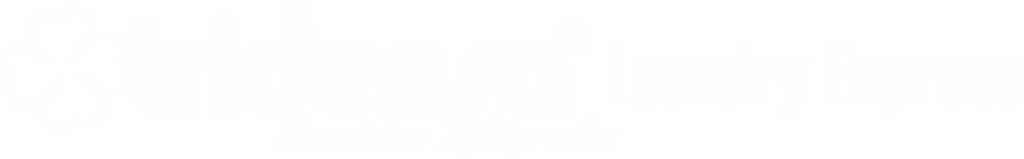 Laundry Express Tridensa